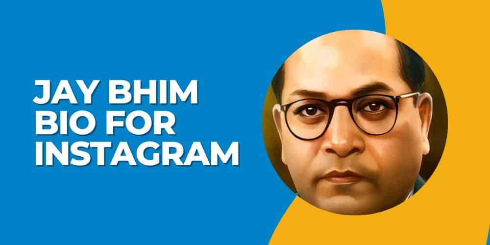 250+ Best Jay Bhim Bio For Instagram: Jai Bhim Movement Bio